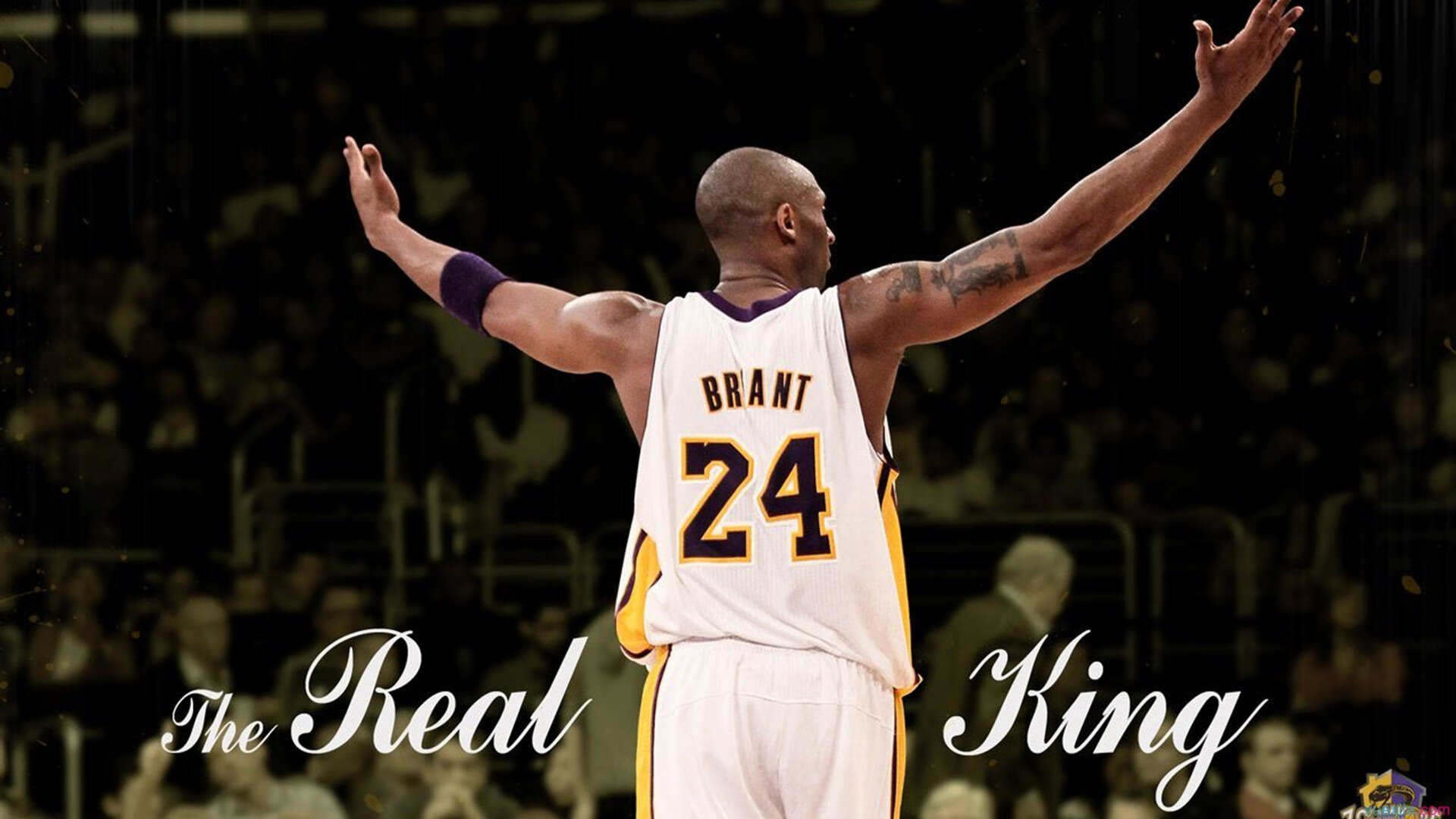 多名选手具备闯入半决赛甚至决赛能力，半决赛会遇到自己国家的吗