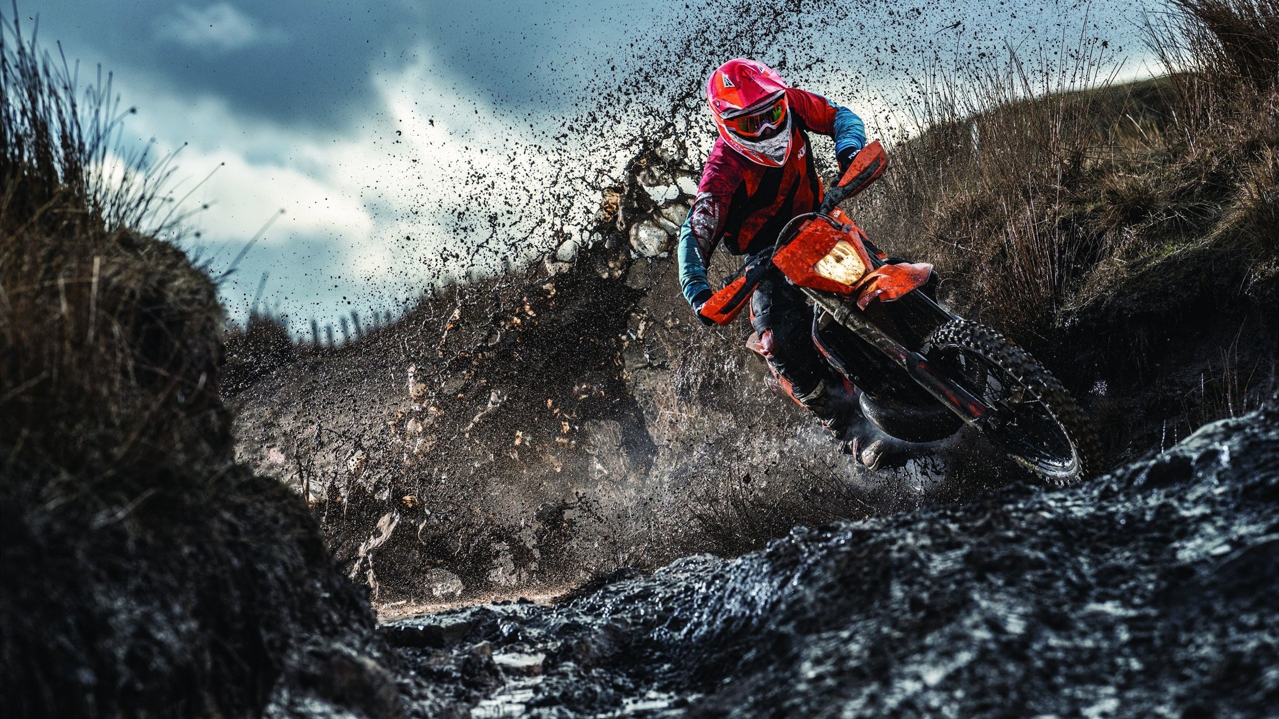 艾比·德尔福：全面防守和进攻支援，南非队不容忽视的核心，艾德和比尔的故事